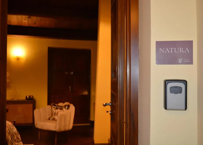 Domus Telesio 4* 科森扎